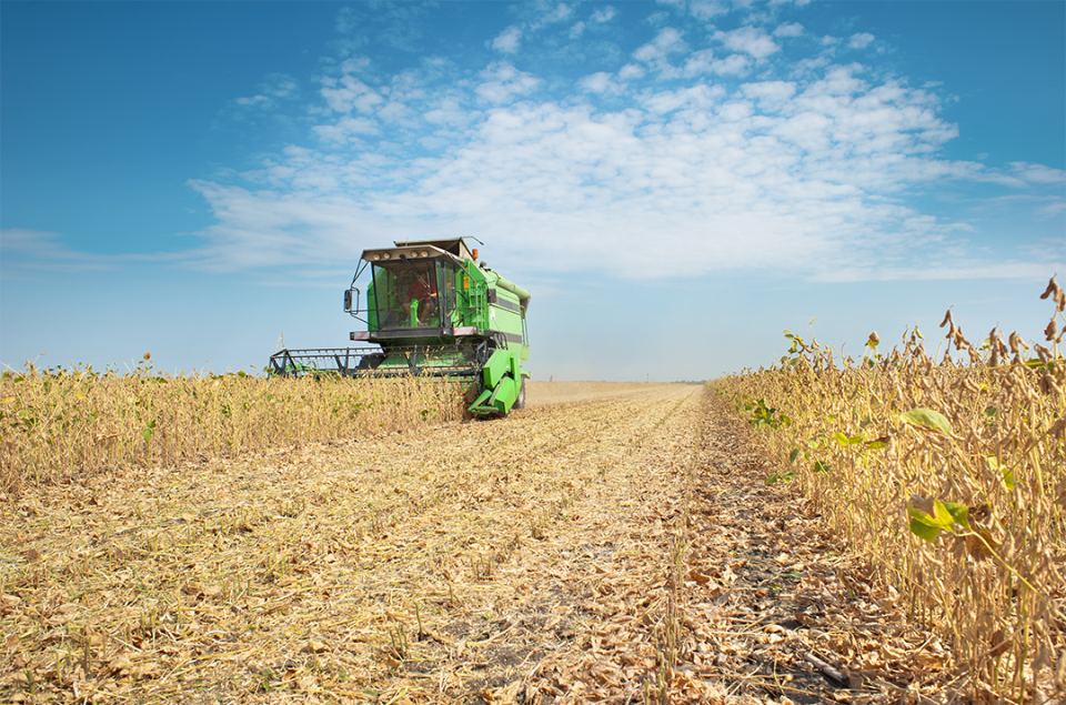How to Estimate Harvest Losses in Soybean and Corn Fields