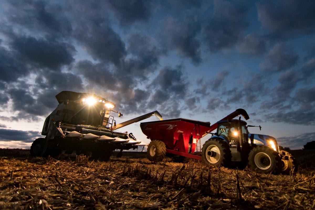 combine harvesting at dusk