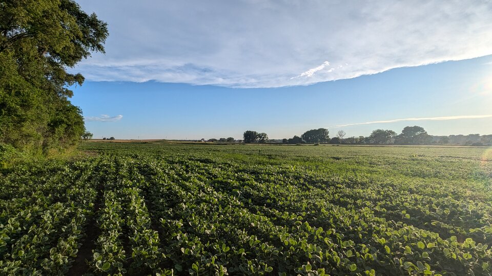 on farm research