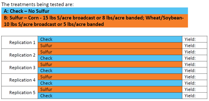 Table with sulfur treatments and yield results for five replications, alternating blue and orange rows.